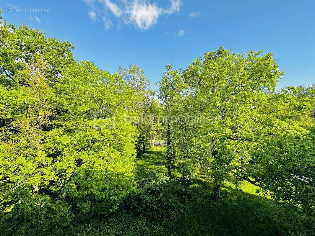 Appartement à SAVIGNY-LE-TEMPLE