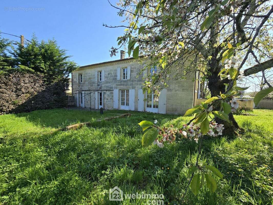 Maison 331 m² à Sadirac  - photo 28