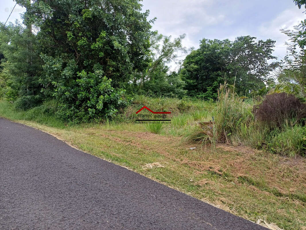 Terrain à SAINT-ESPRIT