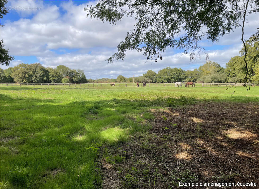Maison à CHATEAU-GONTIER