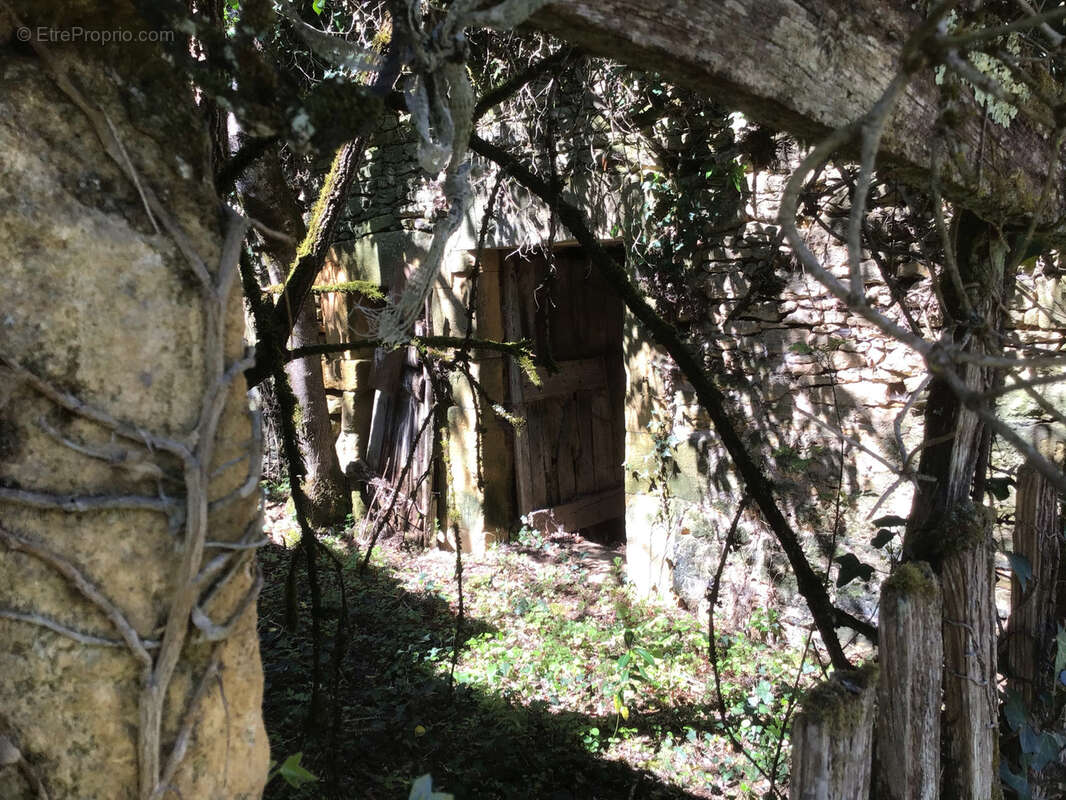 Maison à LES EYZIES-DE-TAYAC-SIREUIL