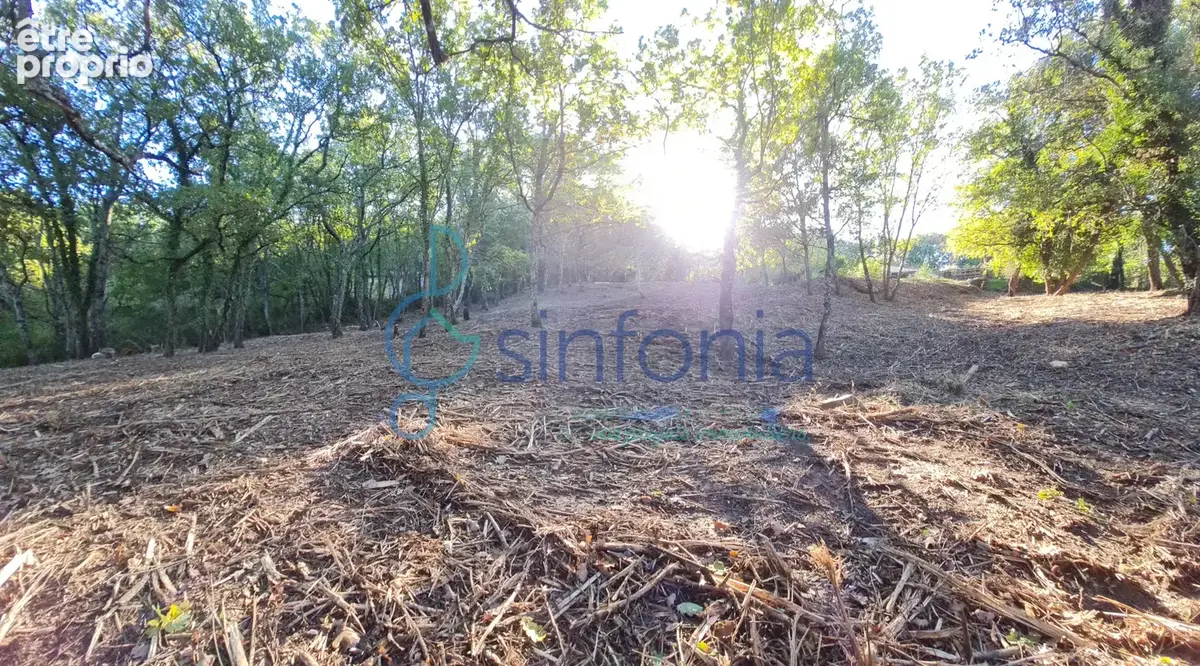 Proche Uzès et Bagnols, terrain constructible de 1500m2 à vendre à Pougnadoresse - photo 3
