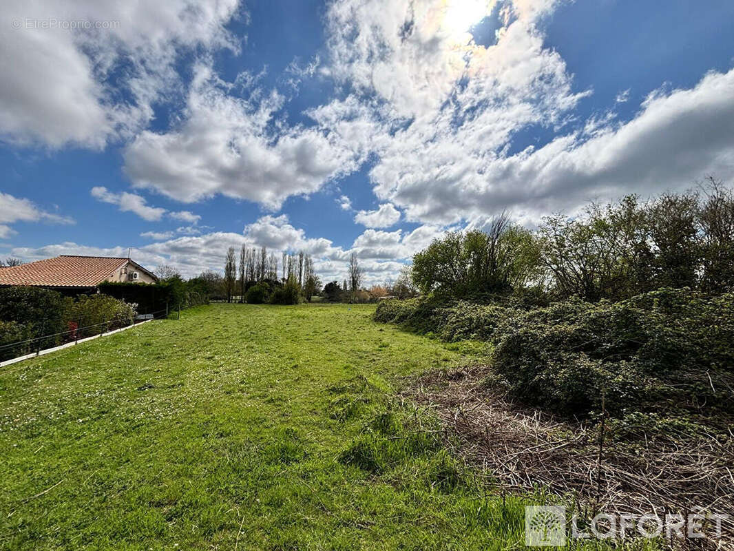 Terrain à AUBIE-ET-ESPESSAS