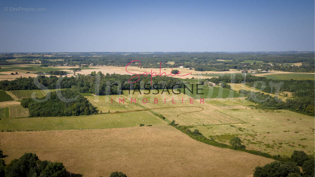 A 7 min de Sauveterre de Guyenne, 10 min de Rauzan, 20 min de Branne, sur presque de 34 hectares, - photo 5