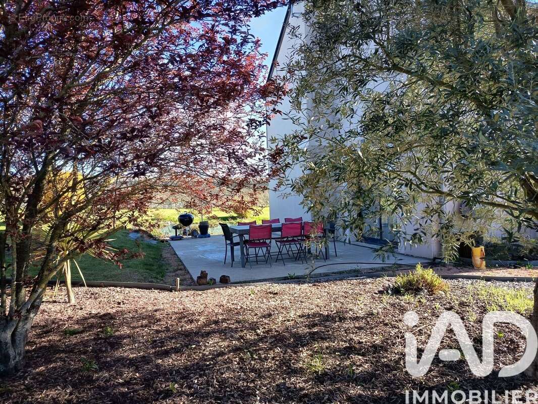 Photo 2 - Maison à DOUE-LA-FONTAINE