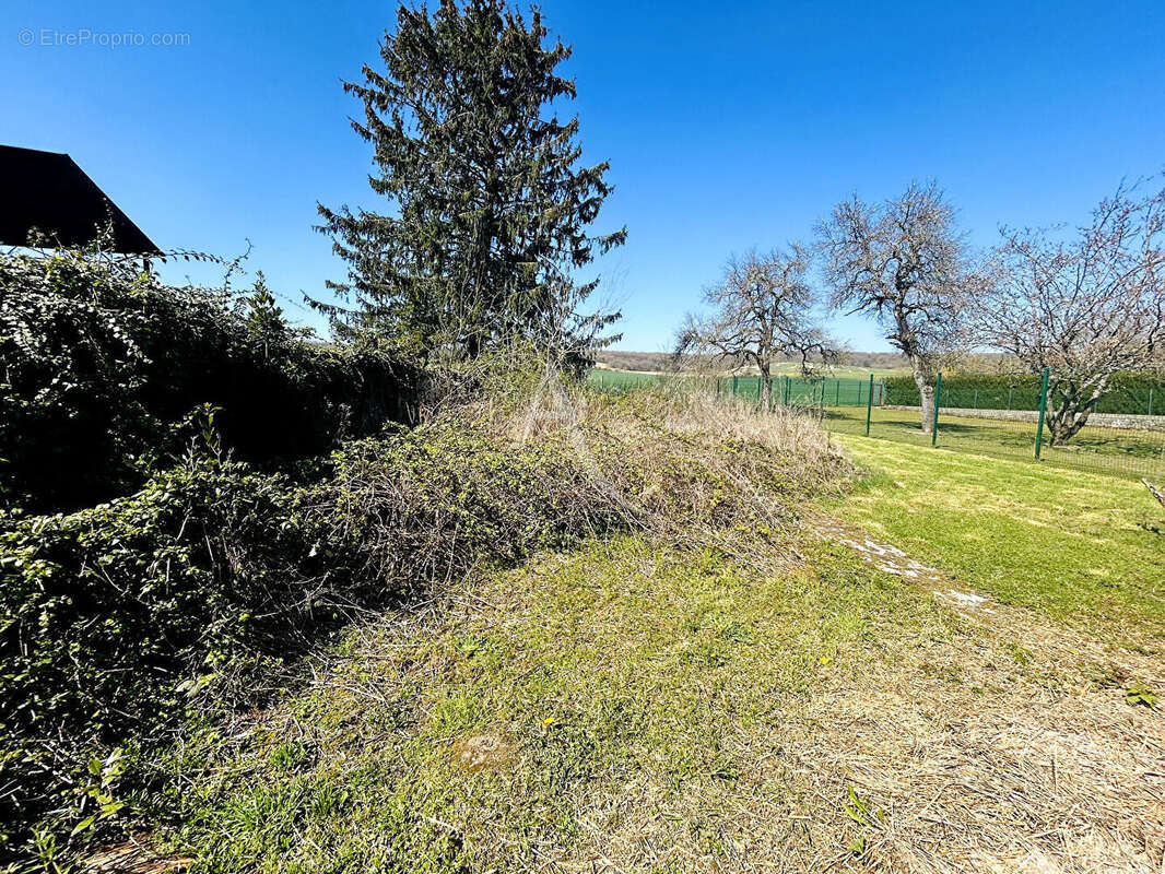 Terrain à MELZ-SUR-SEINE