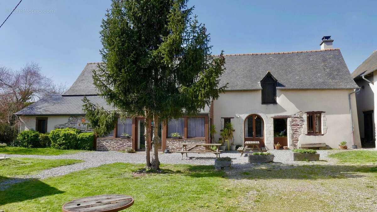 Maison 198 m² à Noyal-Chatillon-Sur-Seiche  - photo 2