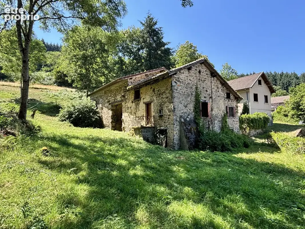 Maison à SAINT-DIDIER-SUR-BEAUJEU