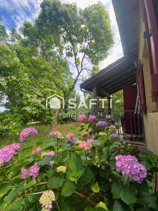 Photo 2 - Maison à FRAYSSINET-LE-GELAT