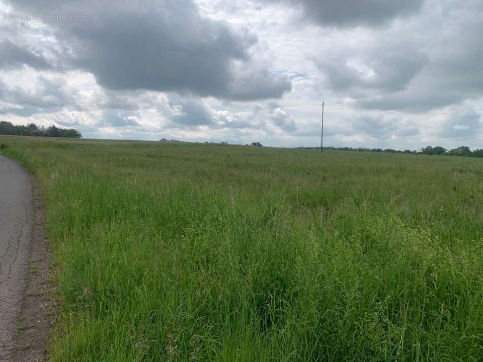 Terrain 459 m² à Distroff  - photo 2
