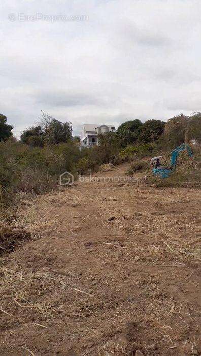 Terrain à VIEUX-HABITANTS