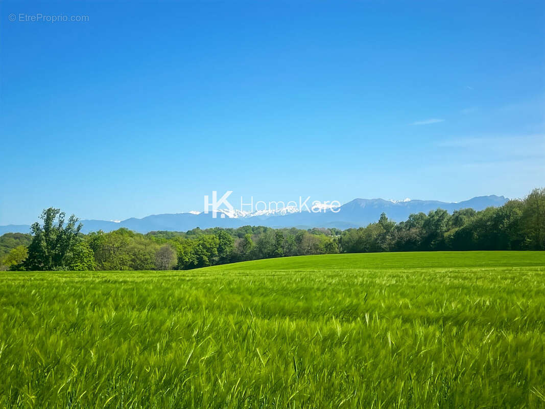 Maison à MONTREJEAU