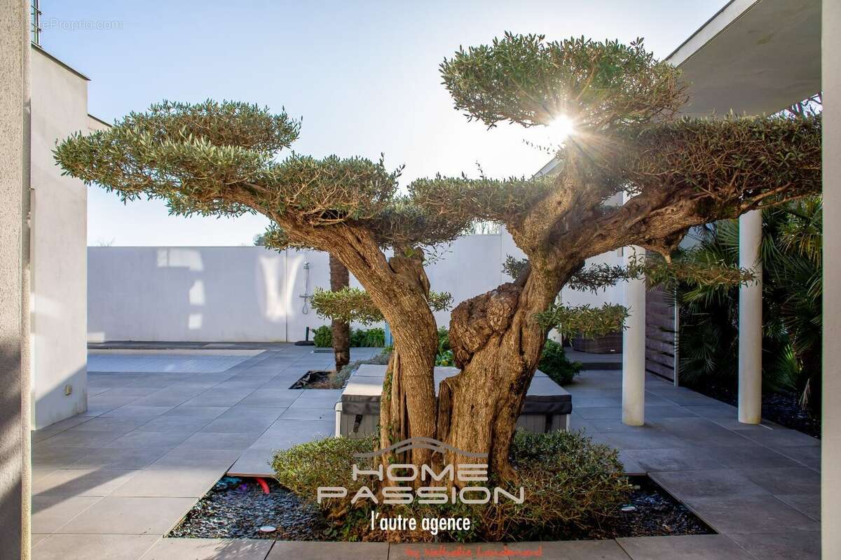 Maison à SAINT-PALAIS-SUR-MER