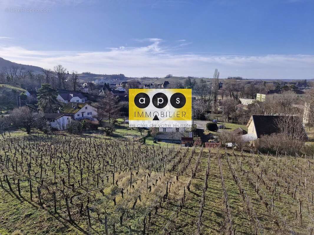 Terrain à ARBOIS