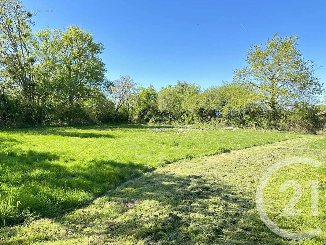 Maison 76 m² à Savigny-En-Sancerre  - photo 11