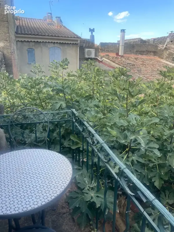 Maison à vendre sud Luberon village de Lauris 2 corps de bâtiments, 3 chambres, 120 m2 environ  terrasse caves atelier - photo 18