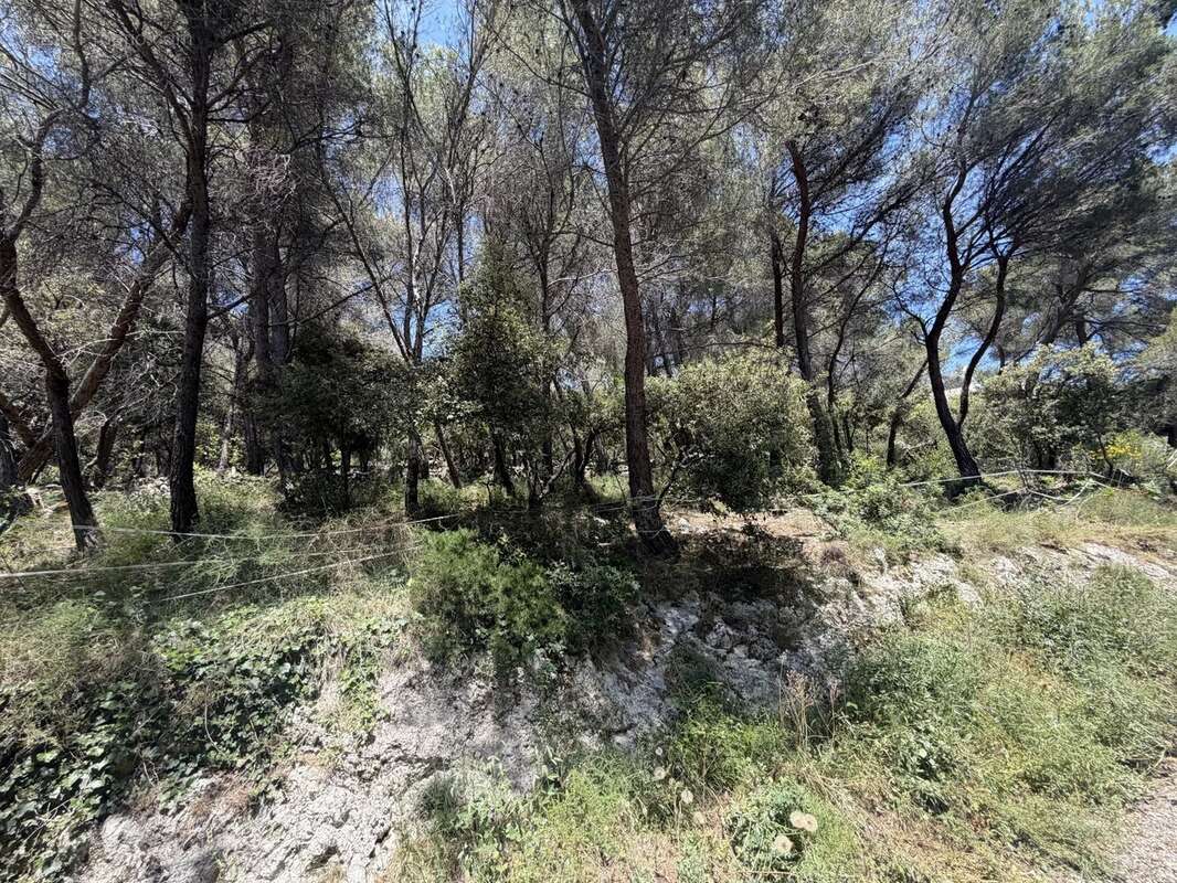 Terrain à FALICON