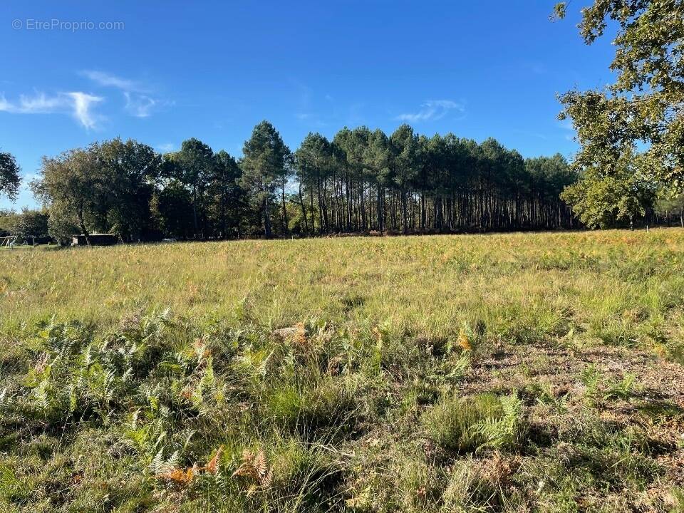 Terrain à LE PORGE