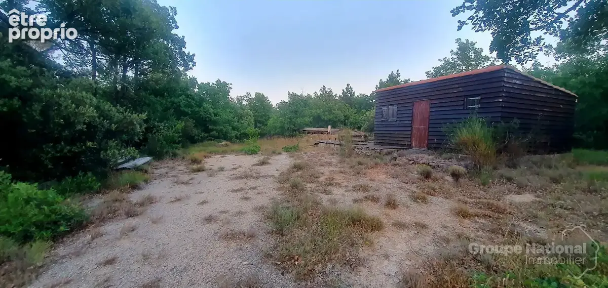 Terrain naturel de 28 745 m² avec cabanon - photo 4