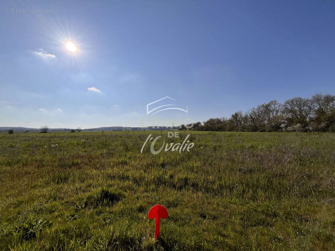 Terrain à LE BURGAUD