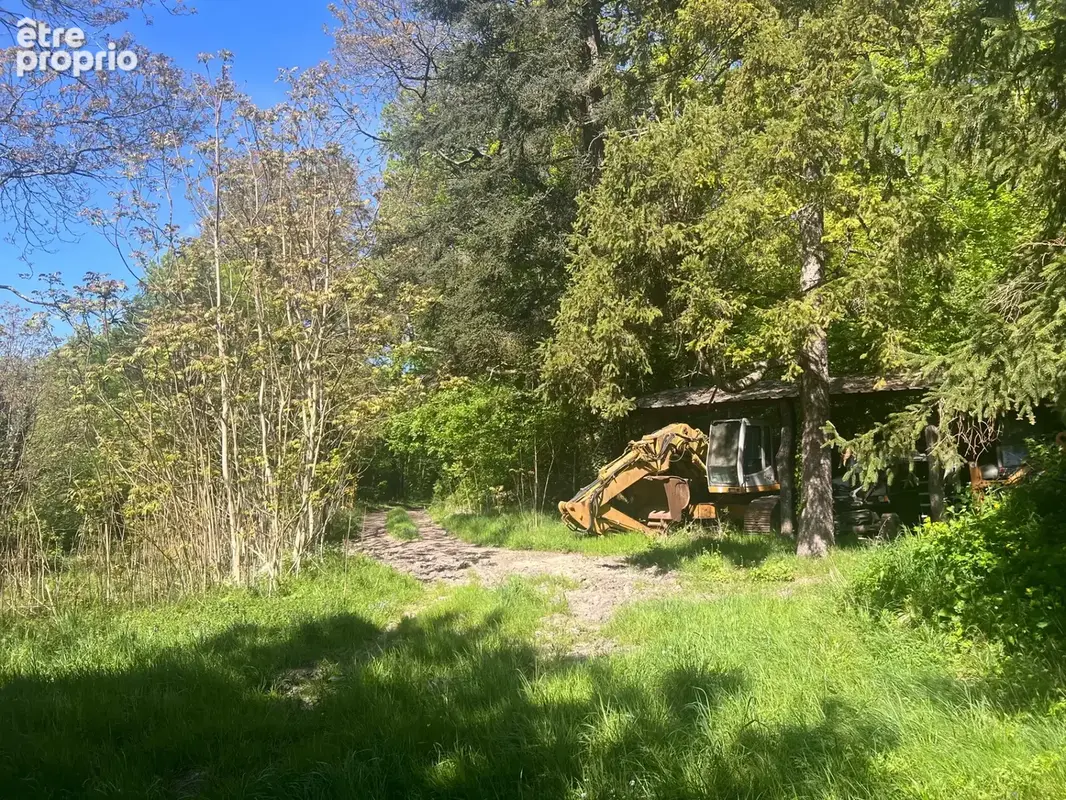 Propriété à vendre 17 pièces SAINT OUEN LES VIGNES (37) - photo 10