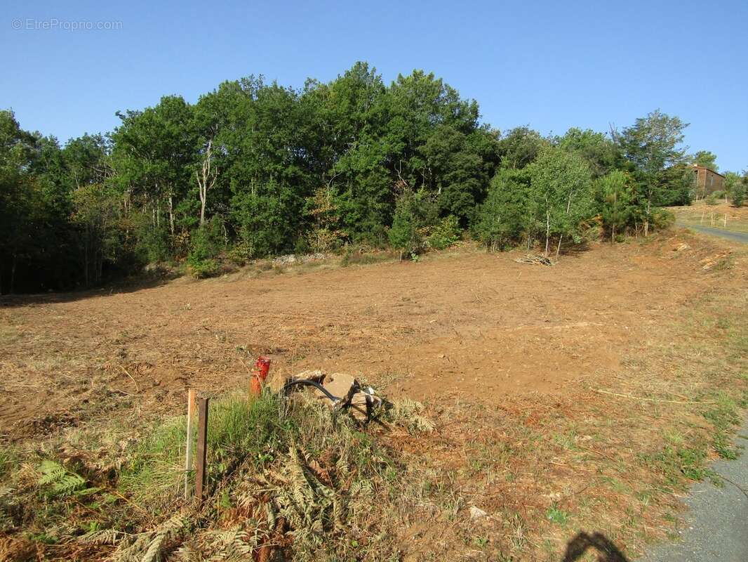 Terrain sur Sarlat dans un environnement très calme - photo 2