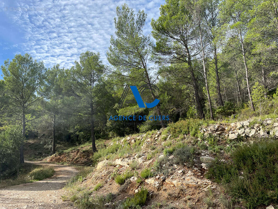 Terrain à SOLLIES-TOUCAS