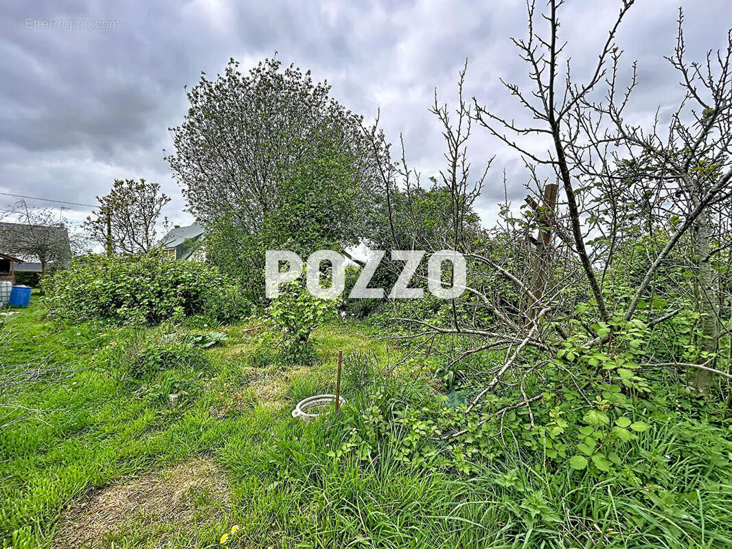 Terrain à VILLEDIEU-LES-POELES