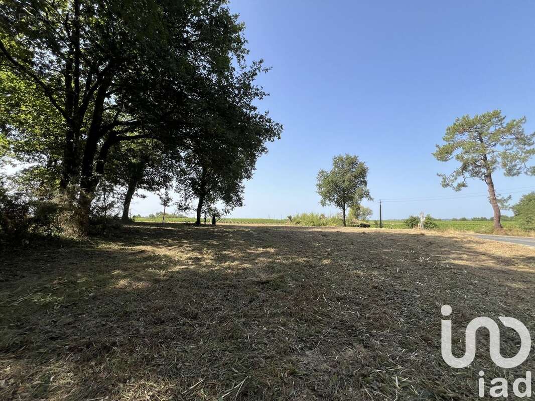 Photo 7 - Terrain à BELLEBAT