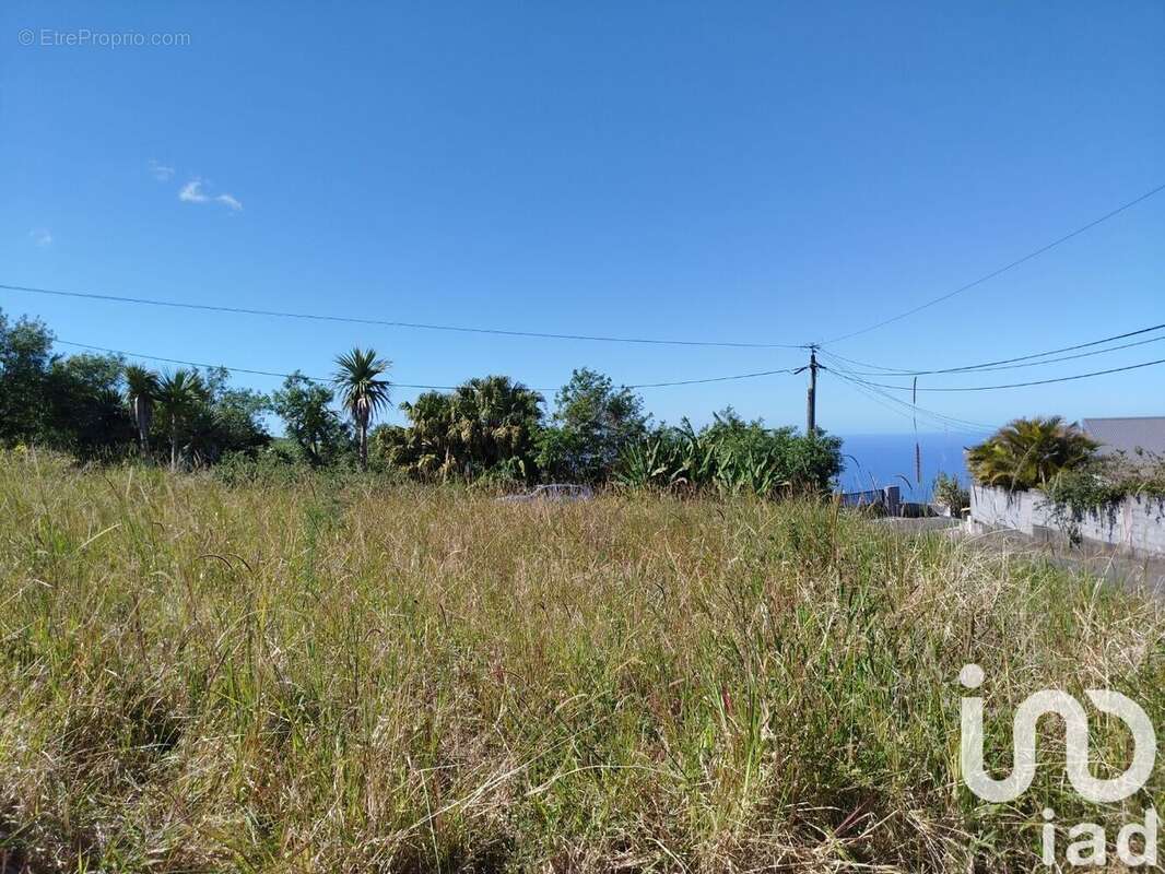 Photo 5 - Terrain à SAINT-JOSEPH