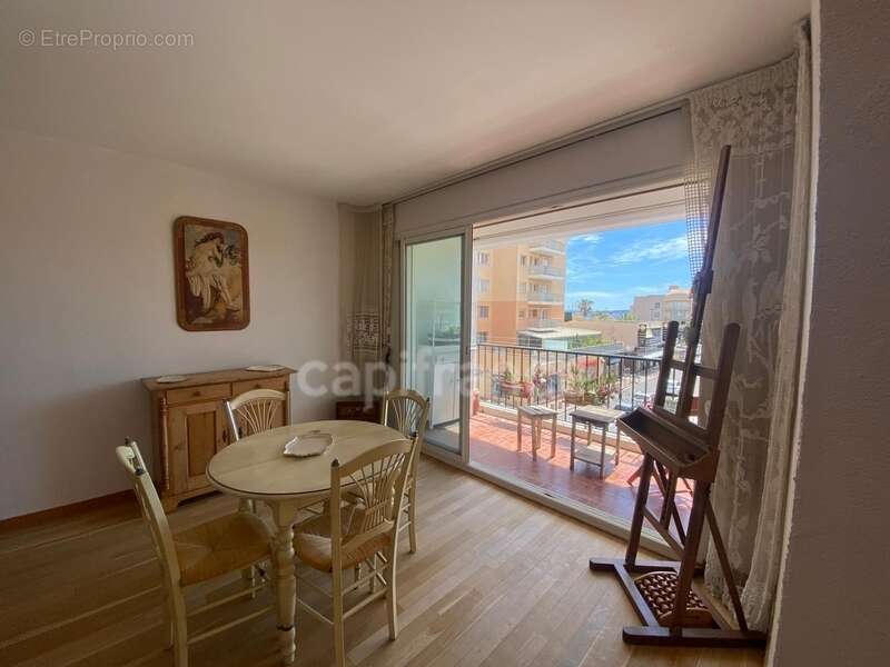 Appartement à vendre 2 pièces HYERES (83) - Port de Hyères - Parking - Terrasses - Cave - photo 38