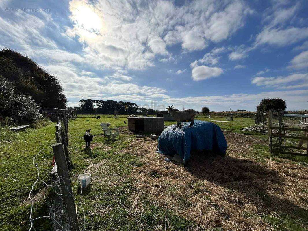 Maison à BEUZEC-CAP-SIZUN
