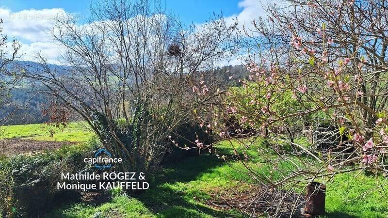 Maison de famille - 8 pièces - 180m2 - Domaize - photo 24