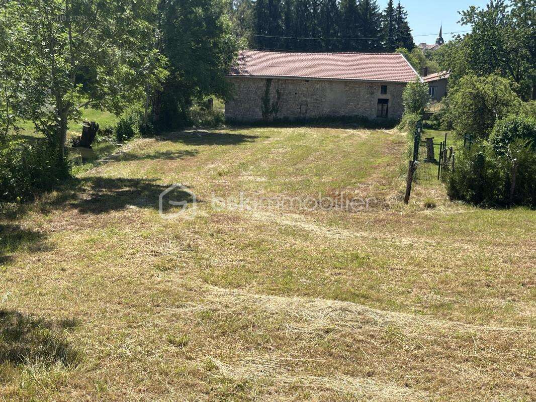 Terrain constructible idéalement situé – 1 195 m² - photo 6