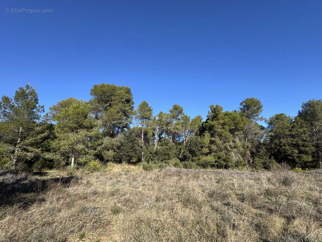 Terrain à CLERMONT-L'HERAULT