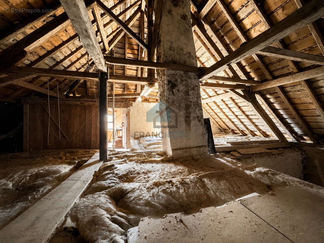 Saint-julien-les-russey - grande maison de caractere - photo 19