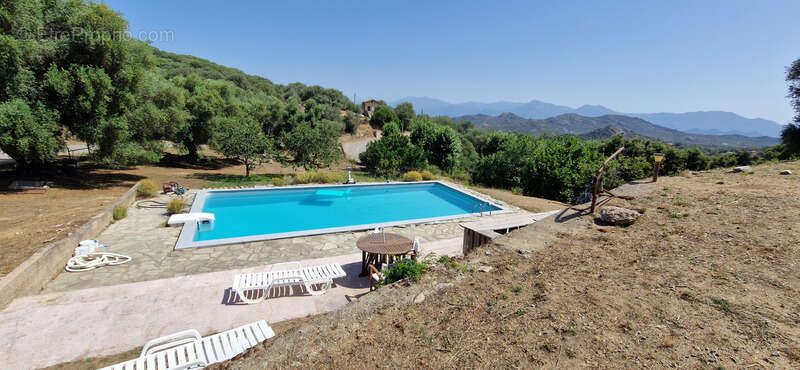 Dpt Corse (20), à vendre CASTA maison de 167m² sur 5600m² avec piscine 6X12 - photo 4