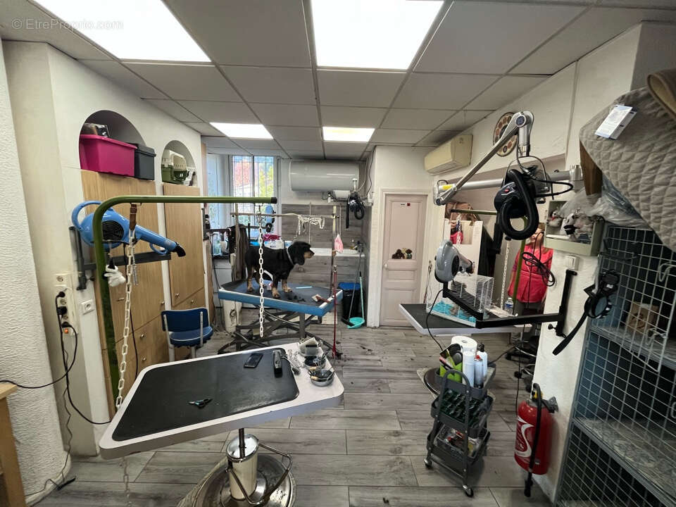 Commerce à LA TRINITE