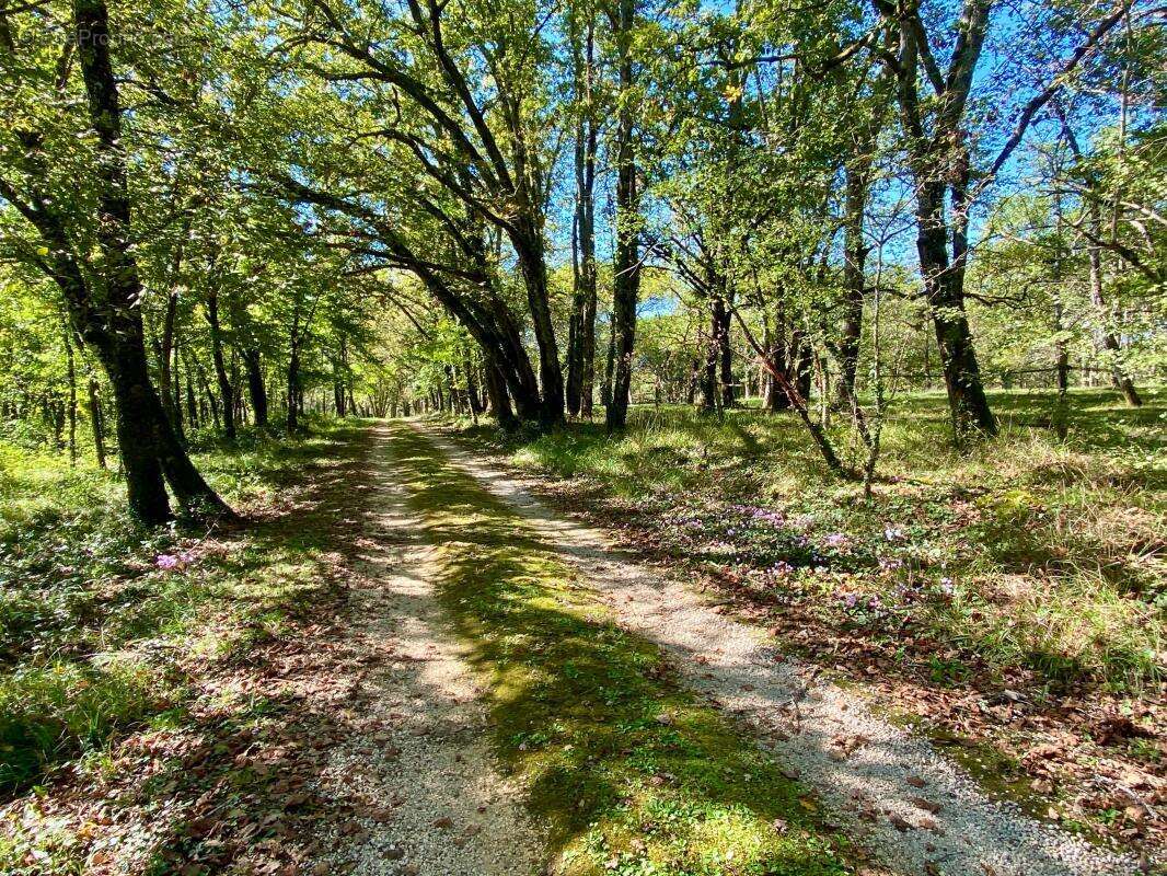 Maison à MAUZAC-ET-GRAND-CASTANG