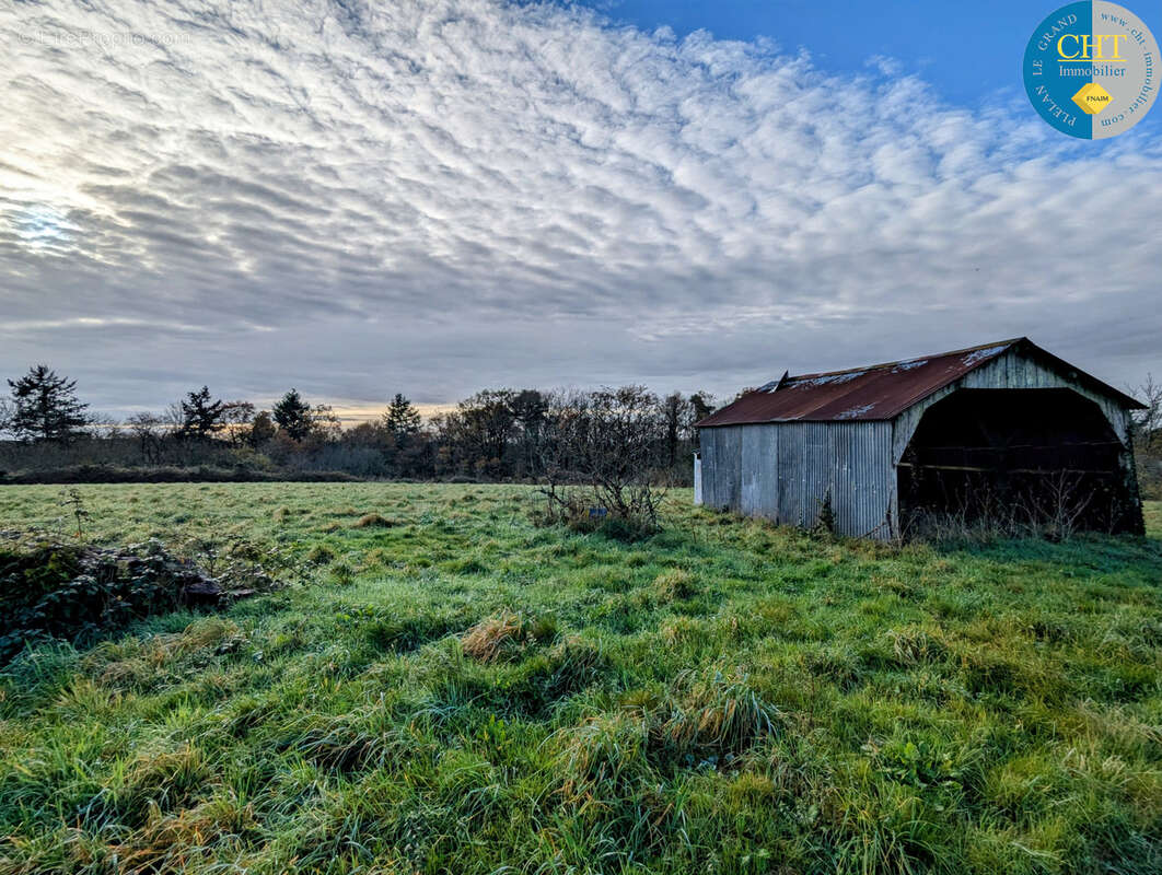 Terrain à bâtir hors lotissement à MONTENEUF - photo 8