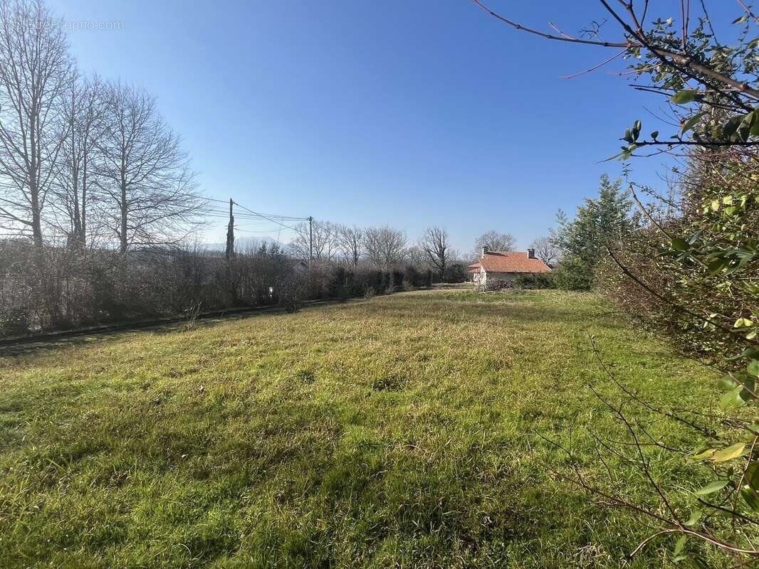 Terrain 1411 m² à Arbonne  - photo 6