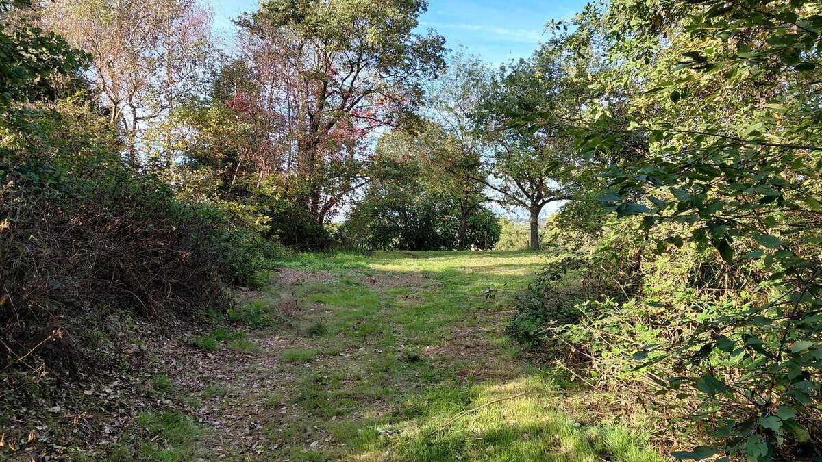 Photo 2 - Terrain à LA PACAUDIERE