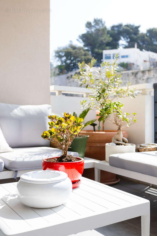 Appartement à MARSEILLE-7E