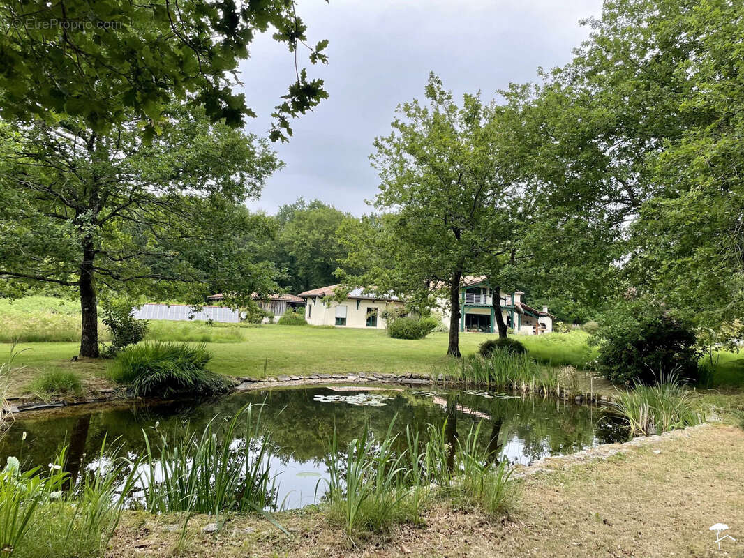 Maison à SAINT-SYMPHORIEN