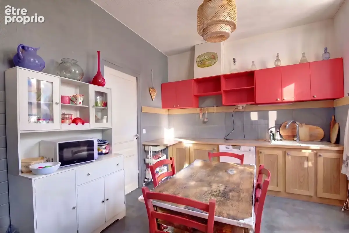 St etienne - terrenoire - maison avec jardin - photo 5