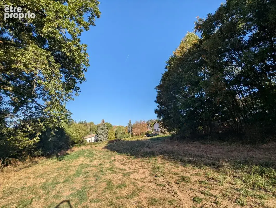Terrain 4 200 m² à vendre à Thiers (63300) - photo 2