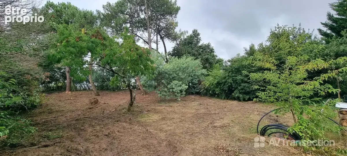 Terrain 985 m² à vendre à Soustons (40140) - photo 55