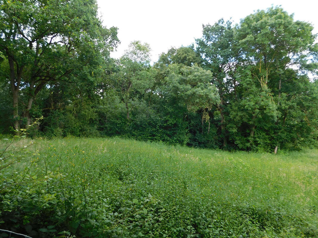 Terrain à MURS-ERIGNE