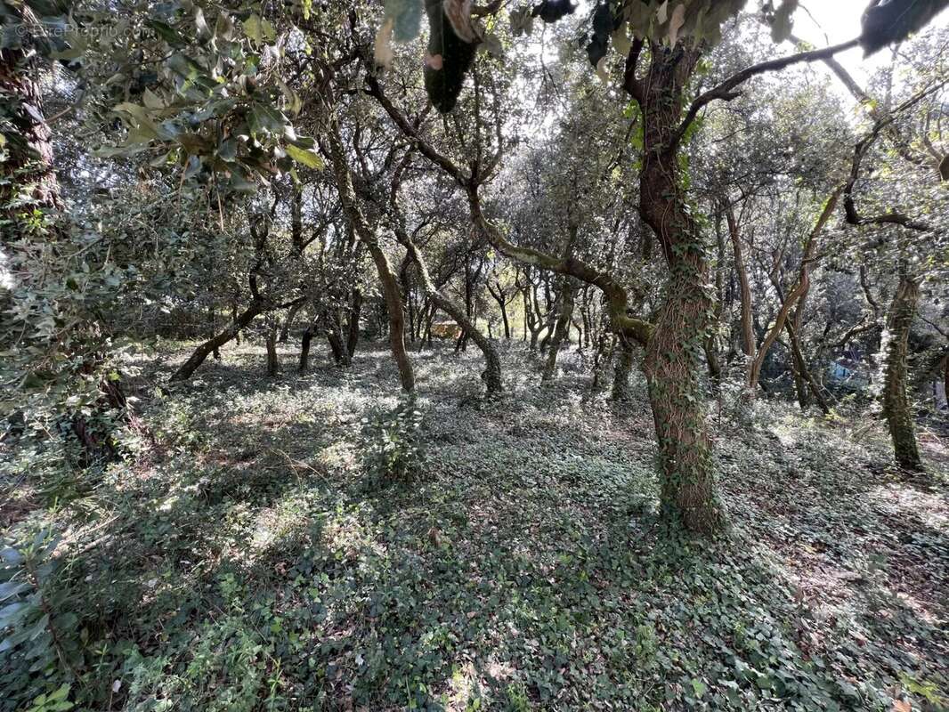 Terrain à SAINT-PALAIS-SUR-MER