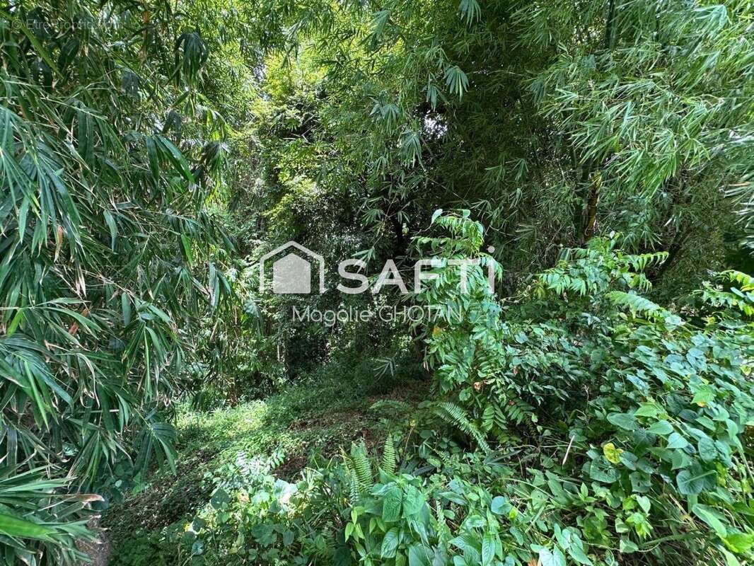 Photo 3 - Terrain à LE ROBERT